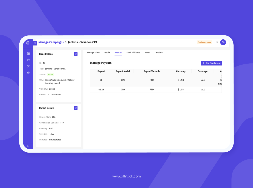 Choose from a variety of iGaming payout options to assign commission structures for each affiliate or groups of affiliates on Affnook.